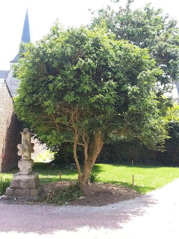 מלון Les Loges D'Etretat מראה חיצוני תמונה